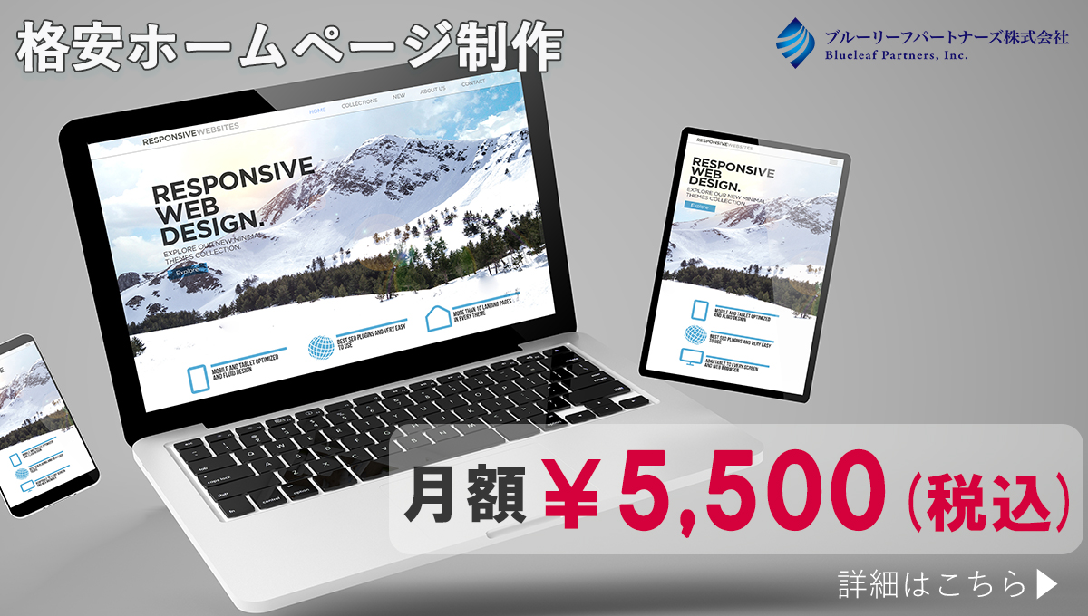 ブルーリーフパートナーズ株式会社